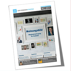 Verbandsstratege 2017-06, Mitgliederbefragung, Cover